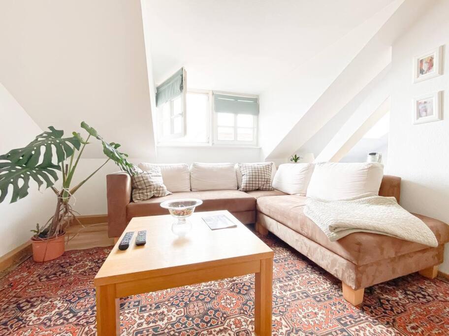 Schoene Ferienwohnung Mit Blick Ueber Stadtwald Leipzig Exterior photo